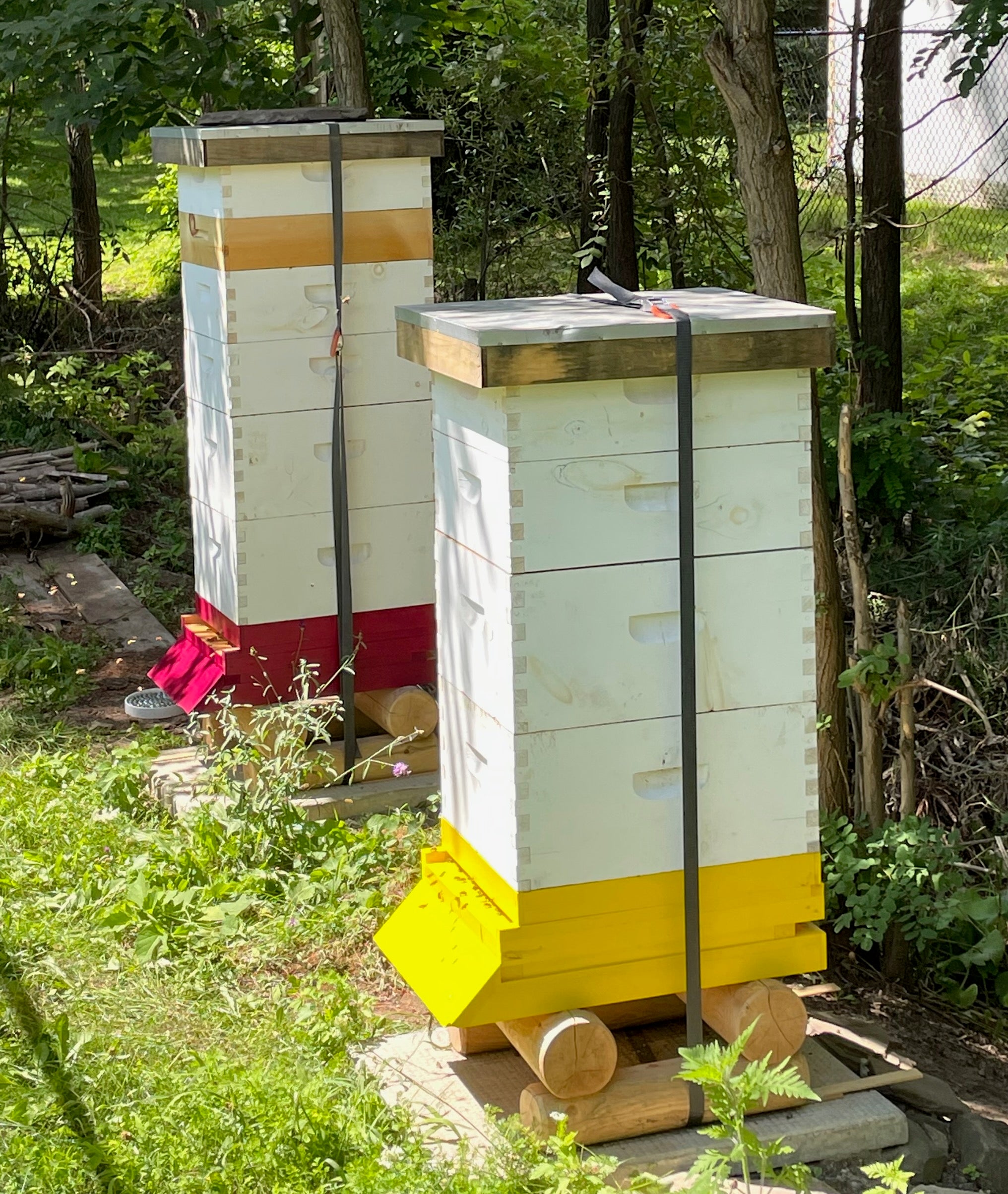 beehives