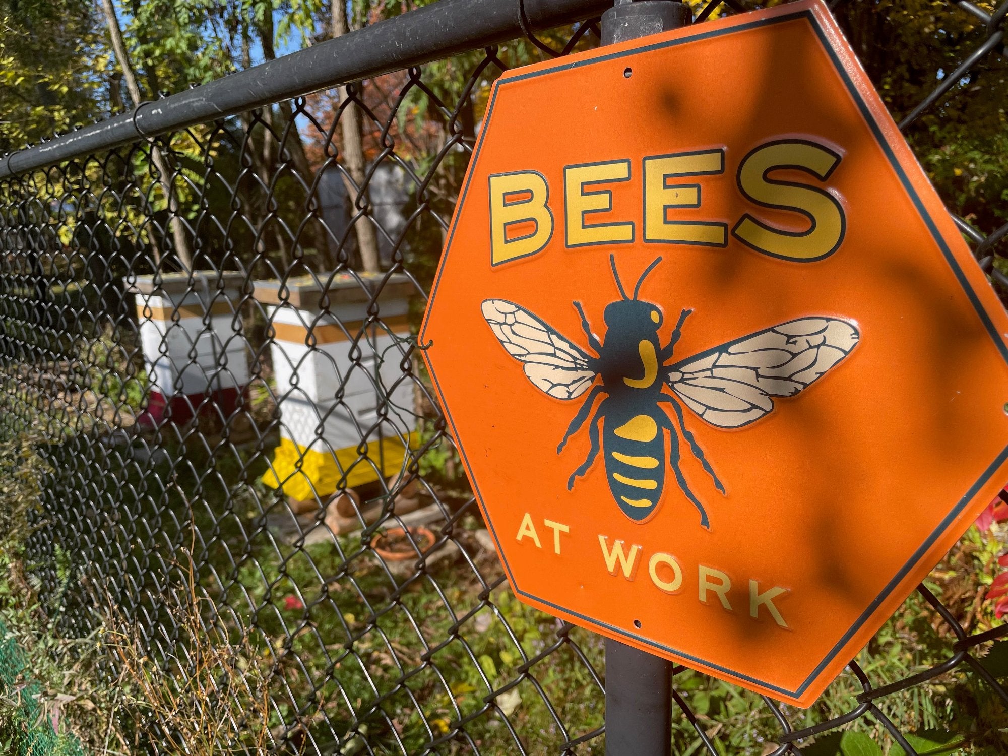 bees at work